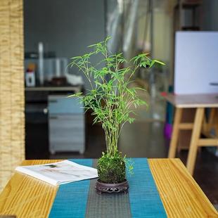 ̦�\��Gֲ�����Ӄ����՚�ˮ���辰�͏d�҃������^�p�����쾰����