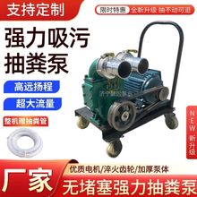 抽粪泵养殖场猪粪抽粪机家用化粪池无堵塞排污水泥浆水泵其他电动