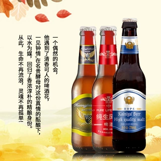 酒吧小酒馆拉环盖瓶装啤酒厂家供应精酿果啤灌装承接啤酒代工定制