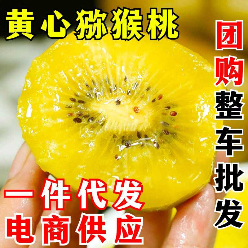 四川黄心猕猴桃 一件代发 黄金奇异果当季新鲜孕妇水果整箱包邮