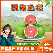 【严选】江西赣州血橙 3斤新鲜青橙当季柑橘当季红血橙非中华红