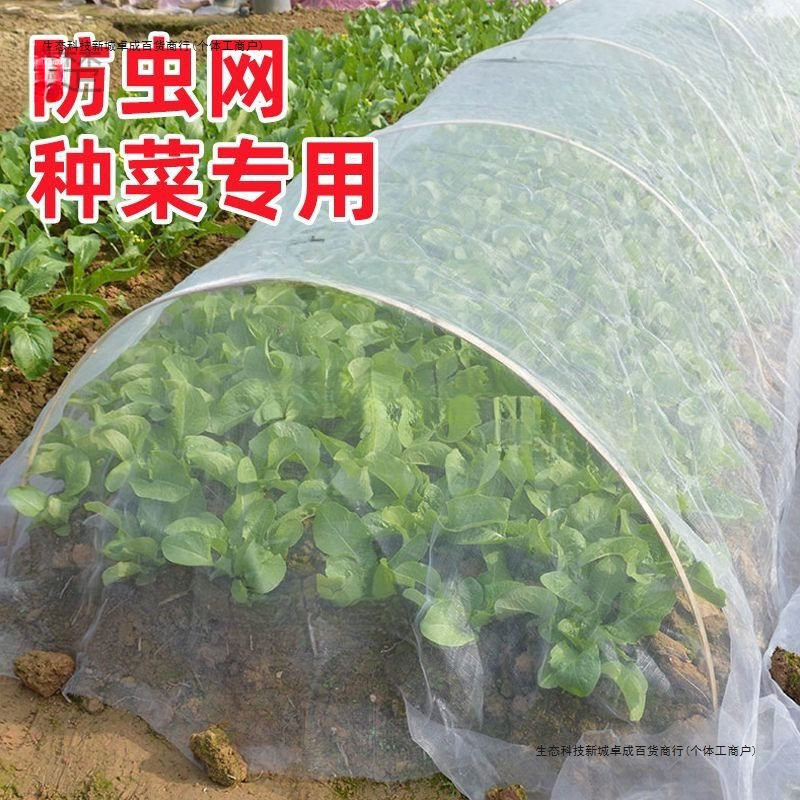防虫网种菜专用80目防虫罩加密纱网菜地果园网蔬菜防鸟罩菜园菜地