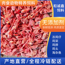 厂家供应水貂狐狸蛇鳄鱼通用特养饲料宠物猫狗零食冷冻小鸡仔