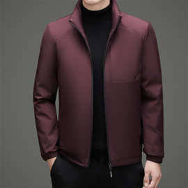 2025新款秋羽绒服无帽外穿简约男士时尚商务立领外套休闲