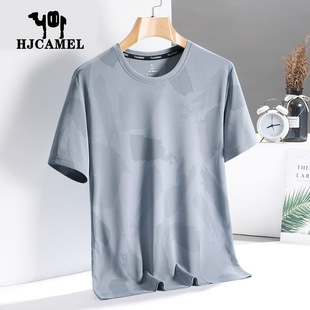 ��HJCAMEL���z����t����ʿ�ļ������ٸ��ź��w���������·����b