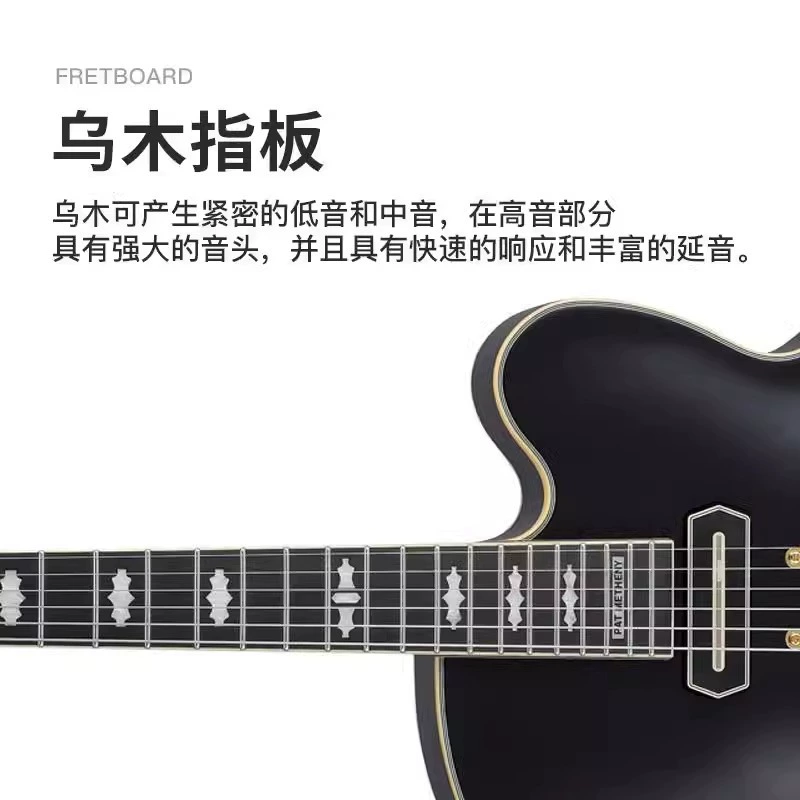 Гитара Ibanez Ebana PM3C Jazz Hollow Pat Metheny Signature Edition с футляром