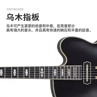 Гитара Ibanez Ebana PM3C Jazz Hollow Pat Metheny Signature Edition с футляром