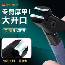 ���_��ָ�׵��{ �����_��ָ��ָ�׼���̖�΂����w�Rָ���Q