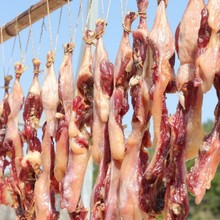 �D�u�l �r���M���Dζ�ֹ�����L���D�u�l���D�u�� �D��