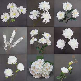 ��ɫϵ��c���滨��Y���ò廨��ˇ������ĵ�����������b��ٻ�