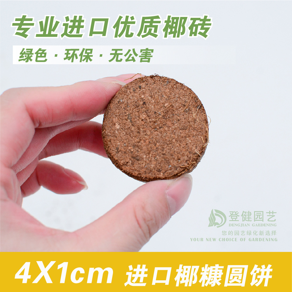 猫草多肉盆栽微型盆景用营养土椰饼进口椰糠椰粉基质4cm
