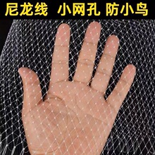 防鸟罩罩果园樱桃葡萄苹果梨防鸟罩1.6网孔防蝴蝶尼龙透明网工厂
