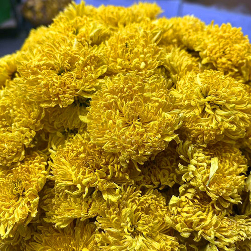 New Flower Golden Core Chrysanthemum Tribute Chrysanthemum Large Yellow Chrysanthemum Tea Chrysanthemum Ball Herbal Tea Gift Box Bulk Tea Direct Shipping
