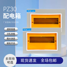PZ30·՚_PbbǶʽ_P