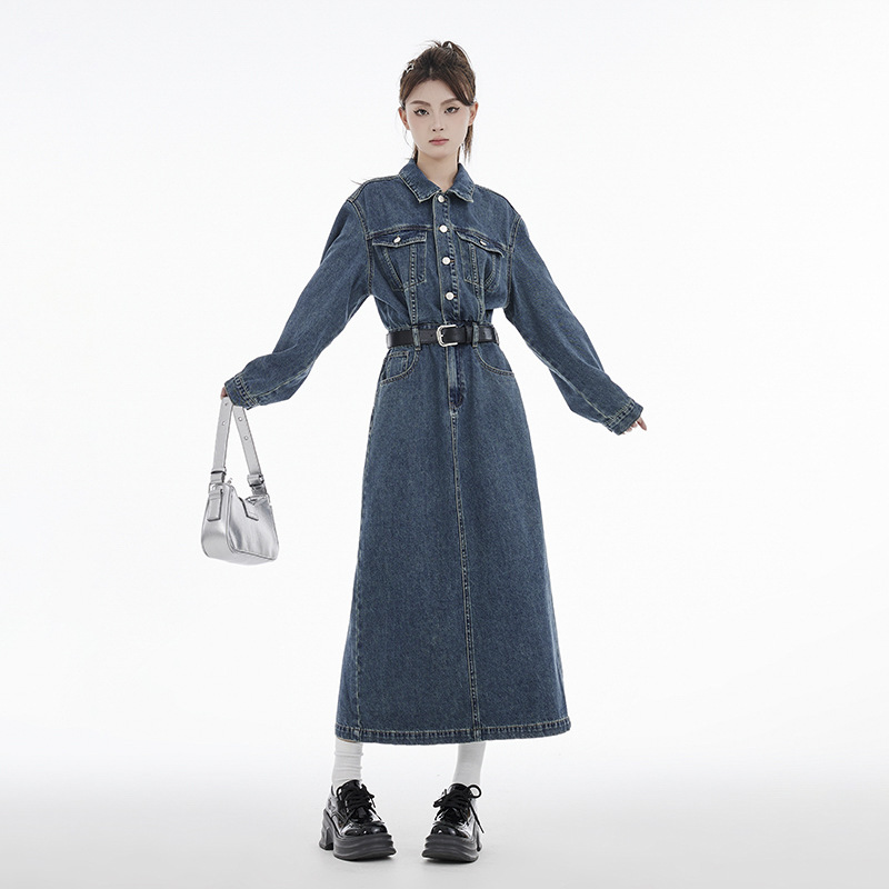 Elegant autumn denim dress