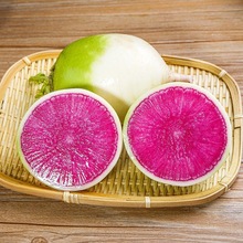 产地直发新鲜现挖心里美萝卜迷你小果脆爽多汁可生吃凉拌一件代发