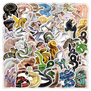 50���������߉T�f�N���羳���u�����S�������~�������b���܇�N��