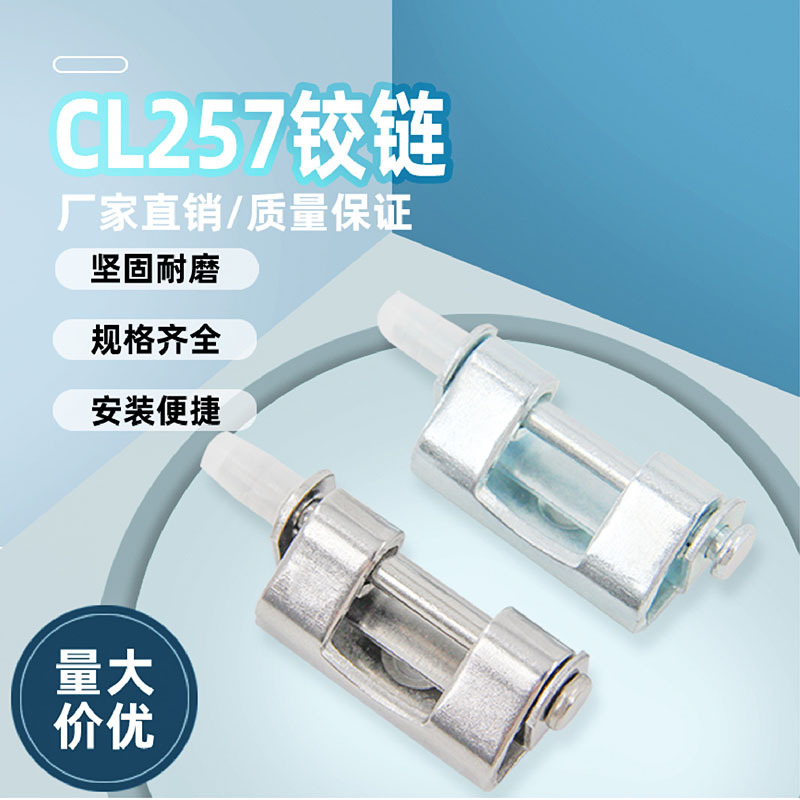 Bisagra Desmontable Oculta Industrial CL257 de Acero Inoxidable y Hierro Zincado