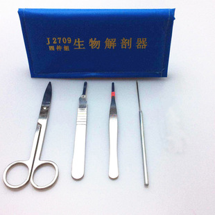 Four-Piece Anatomy Set, 4-Piece Set, Biological Anatomy, Anatomy Needle, Animal Specimen Making Tools, Teaching Instruments