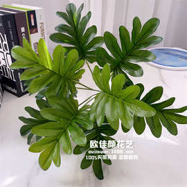 仿真叶子植物墙配材背景墙插花装饰绿植假花盆景过胶万年青春雨叶