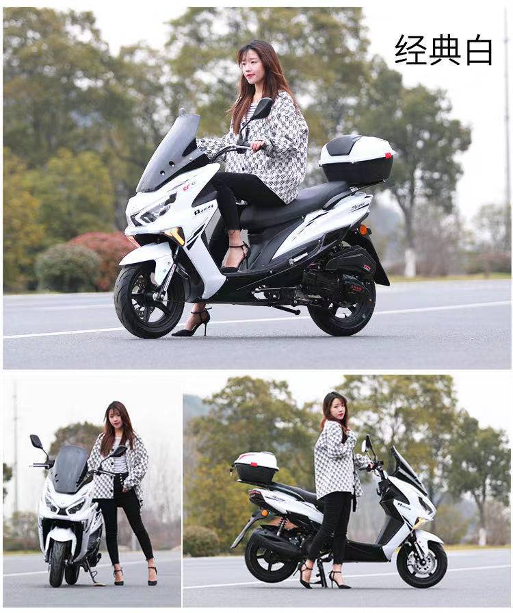Fábrica de suministro de LEON REY PAEDAL 150 motocicletas JINLANG REY POWER DEPORTIVO DE CÓSEL DE VOLUTE DE FALCON