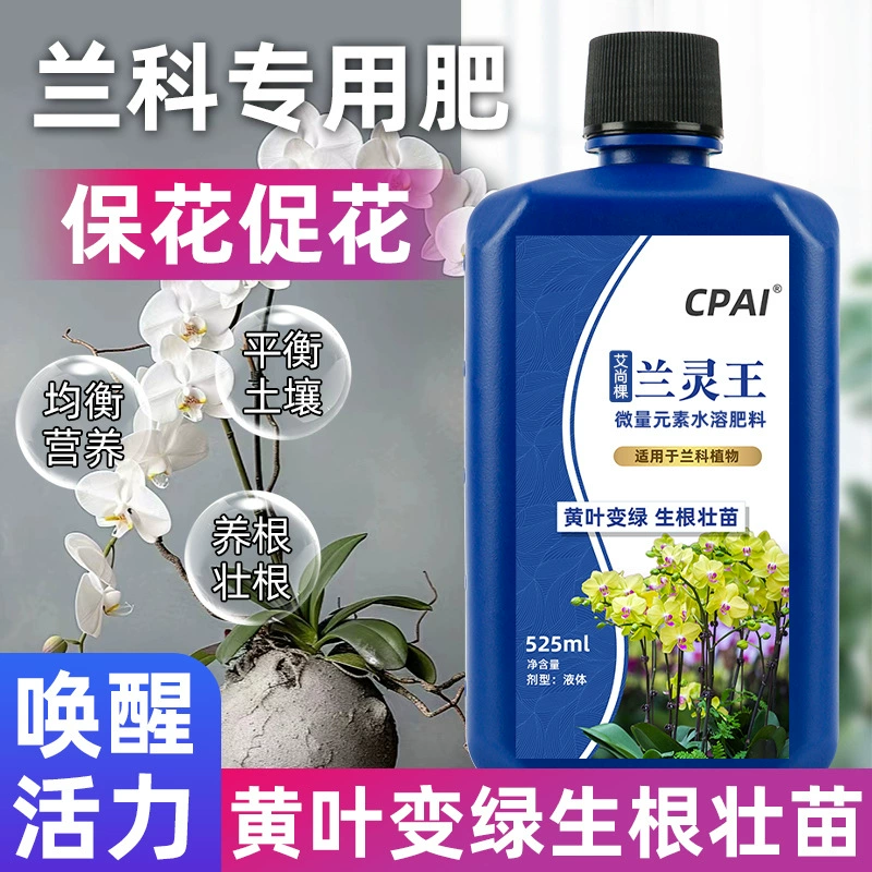 Производители оптовых орхидей орхидей орхидей