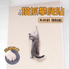 猫がソファーをつかむのを防ぐ保護猫がクッションをつかむのは、ベッドを裁断して壁を貼ることができます。