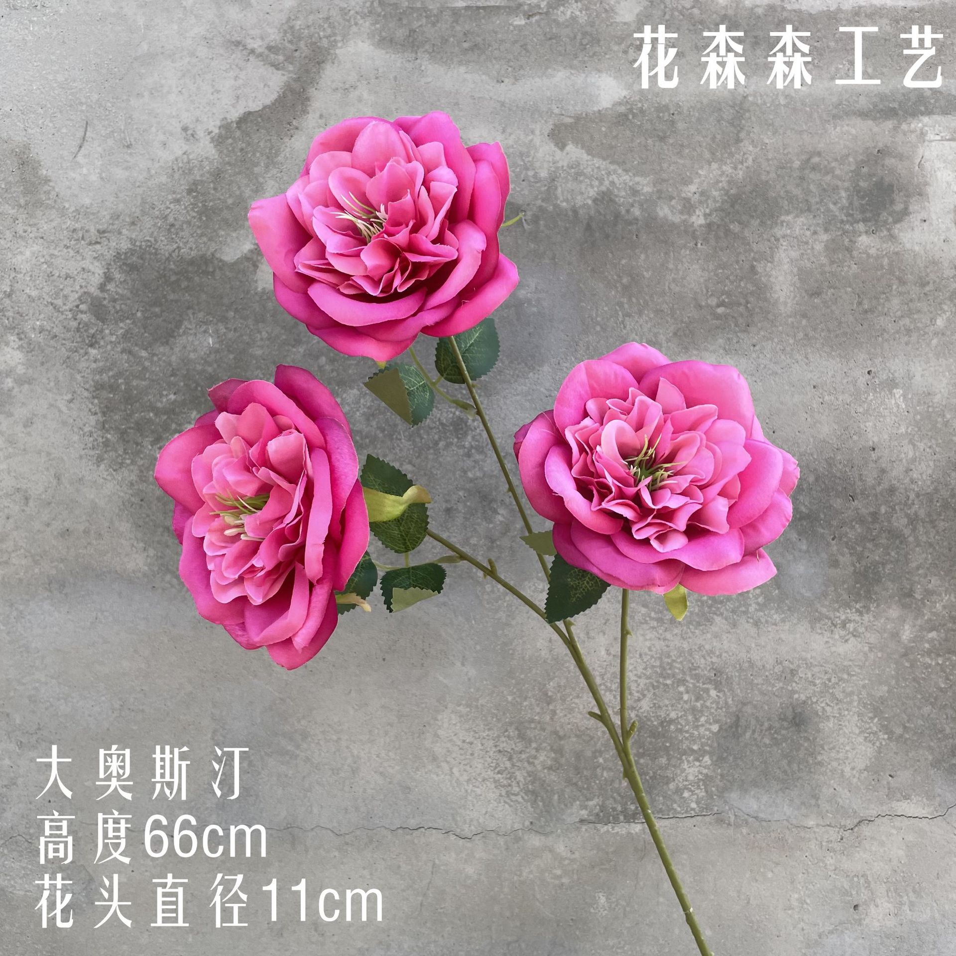 3 빅 오스틴 114013