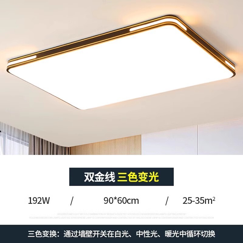 2025 新しい雰囲気のリビングルームランプモダンでシンプルな家全体の天井ランプ寝室レストランシャンデリア中山照明器具|undefined
