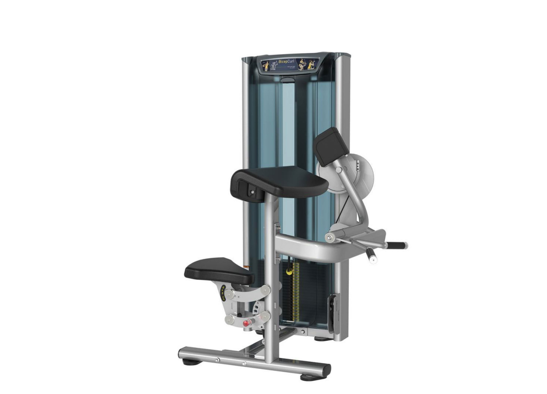 Biceps Curl Entrenador de Biceps