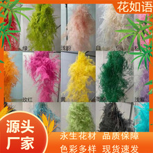 【文竹】永生花保鲜花文竹DIY花材装饰刺天冬云竹清新儒雅风