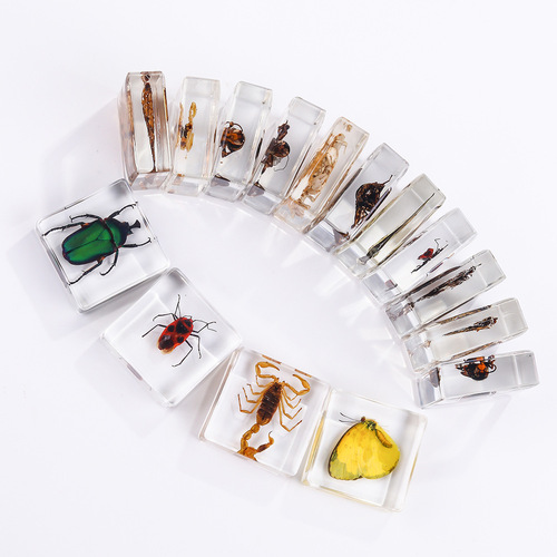 Square resin insect bookend for cross-border new products, student teaching aids, animal specimen, amber craft, decorative item.