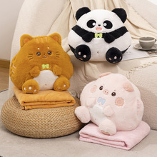 ��ͨ��è���������ֶնն���칫�ҿ�����˯��̺������һ���ó���