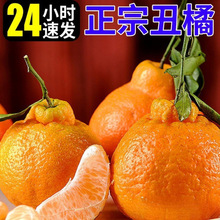 �������r�ﮔ��ˮ������Ұ����ӳ���ք����۽���֪�����P