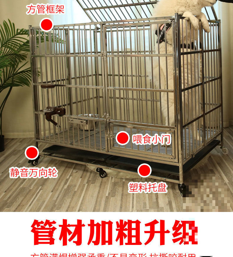8f6830ae-d442-434b-927d-19c65ec66737.jpe