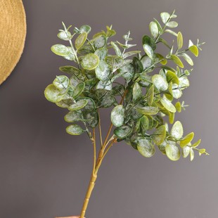 ����ֲ��������ȼ����~���X�~5�����������~ �}�Q��c�b��仨