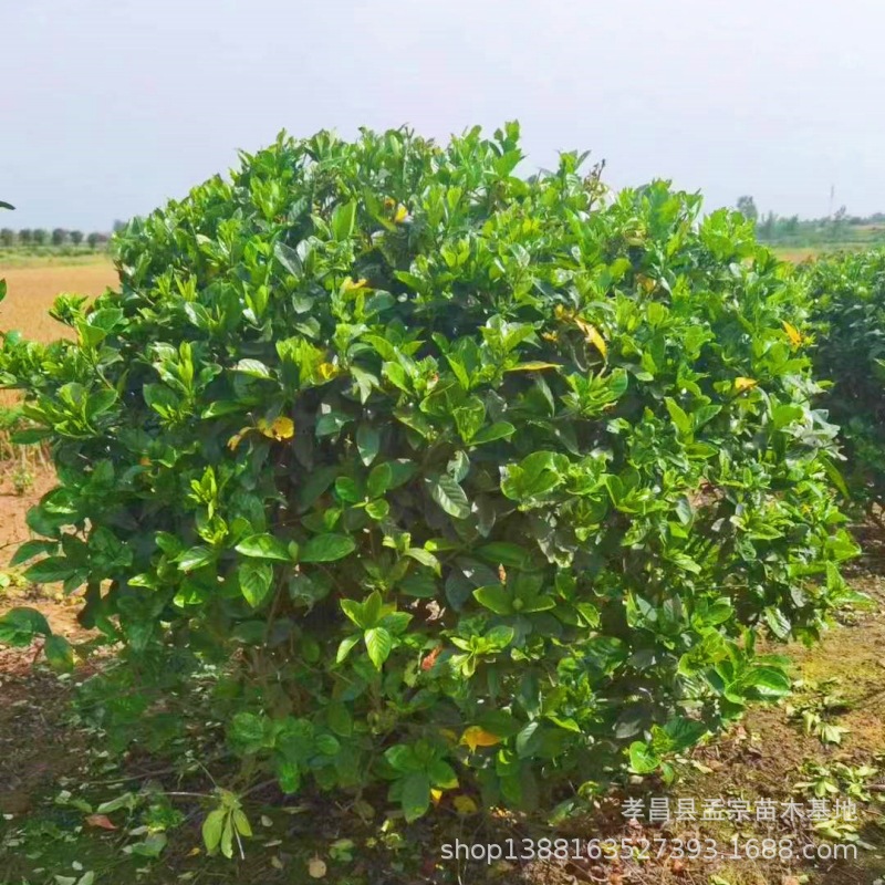 23624cc82a336d68b934389f8401f1