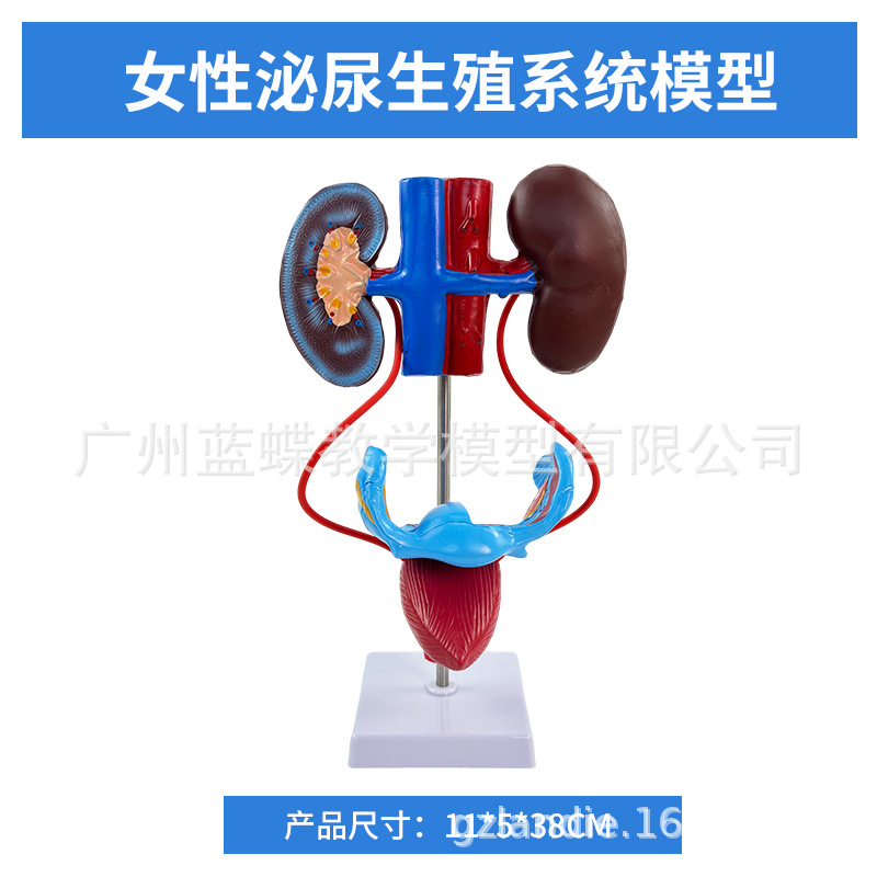 ������������ϵͳģ������ܰ������ ҽѧ��ֳϵͳ�������ģ��