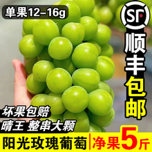 ����ꖹ�õ���������rˮ��5���������џo����ӡ�������ᮔ������