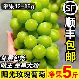 正宗阳光玫瑰葡萄新鲜水果5斤晴王葡萄无籽香印提子青提当季整箱
