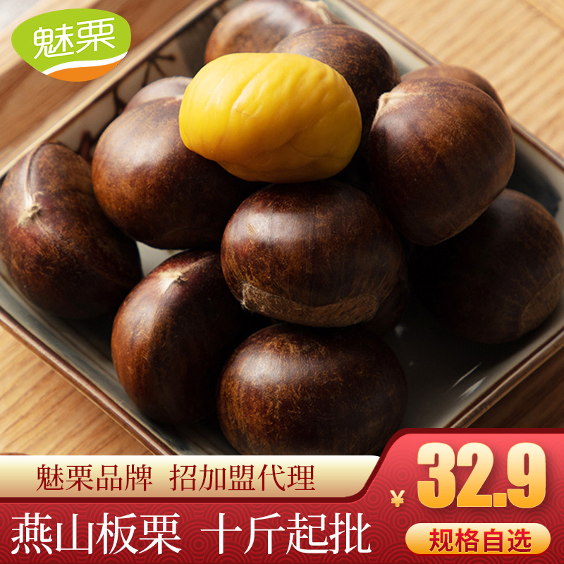 魅栗【燕山板栗批发】2020迁西板栗3113批发100斤产地发货