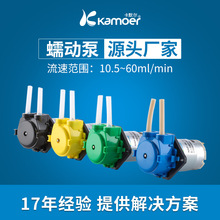 厂家直供12v小型自吸泵迷你循环24v微型水泵抽水蠕动泵