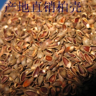 �a�ع������Ӛ���о���|������؛���њ�