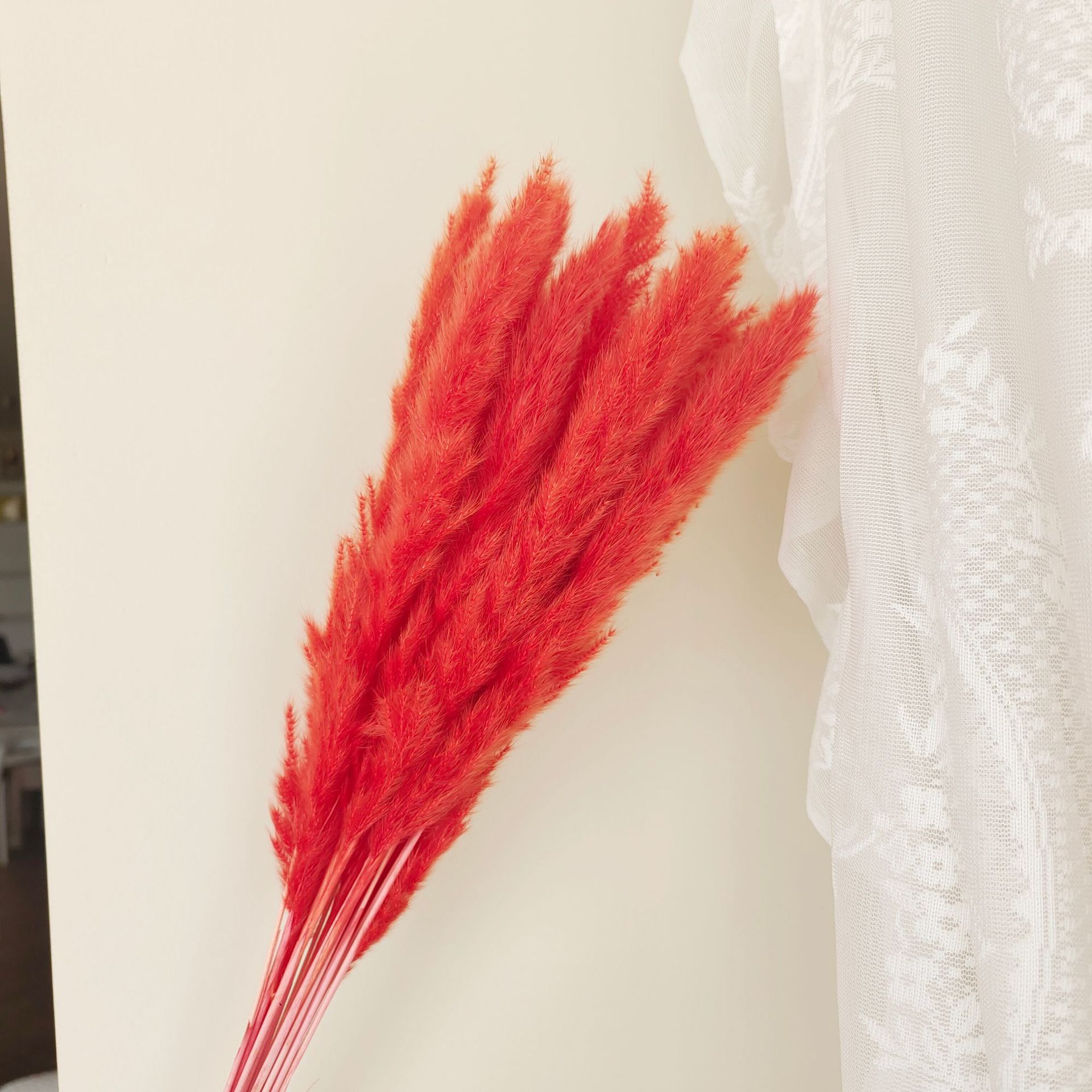 코랄 레드 15가지