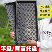 ����Ѩ�PǤ�����������ѿ�˷Nֲ��I�B����������Ѩ�P�߲������