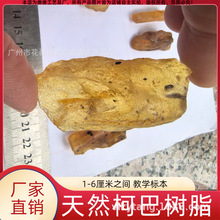 1-6厘米柯巴脂 含昆虫柯巴树脂  现货1厘米左右化石标本 仿琥珀