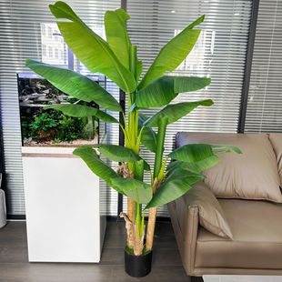 2024���ͷ�����~�ӰŽ����b����Gֲ�҃��쾰�߶�ֲ��٘�[��