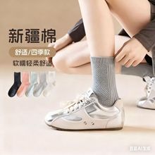 �羳�m��Ůʿ��Ͳ�W��͸���½����m���e��ɫ��ܛ�T���m�W��Դ�^�m