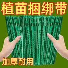 50�����{���~����������������;�@�ֽ�������ֲ��̶��@ˇ�ɲ�ж