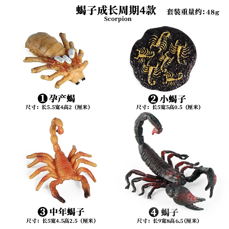 Cognitive realistic marine animal model, dinosaur, toy